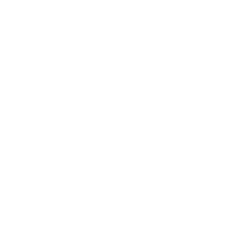BRANDINI