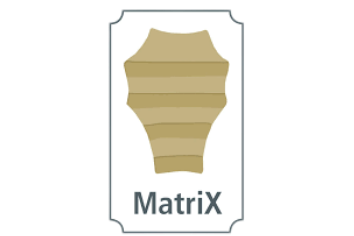 Matrix